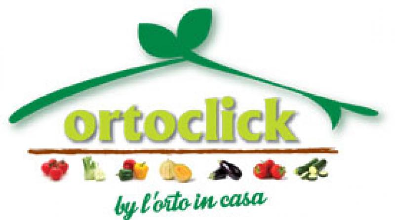 Scopri Ortoclick – Verdura biologica a domicilio