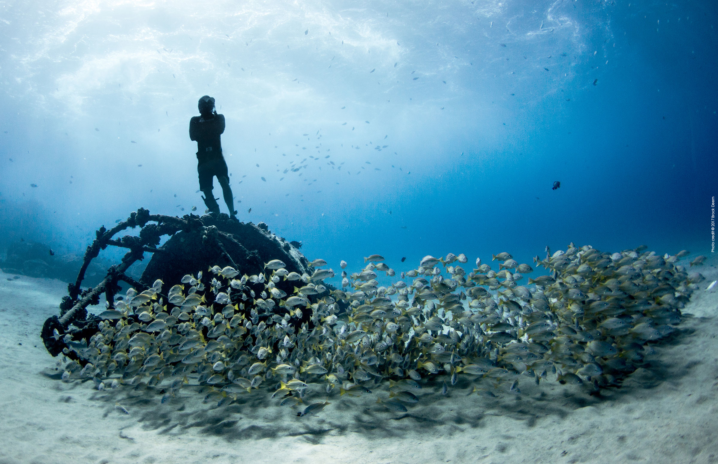 Online il portale Ocean Film Festival Italia