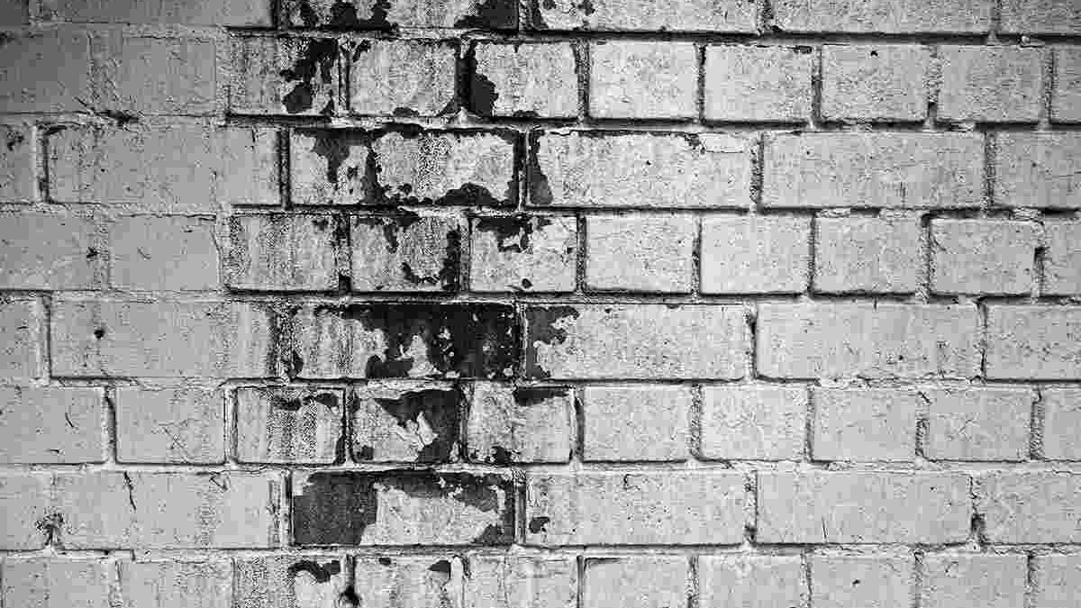 Come evitare la Muffa dopo l’installazione dei nuovi serramenti